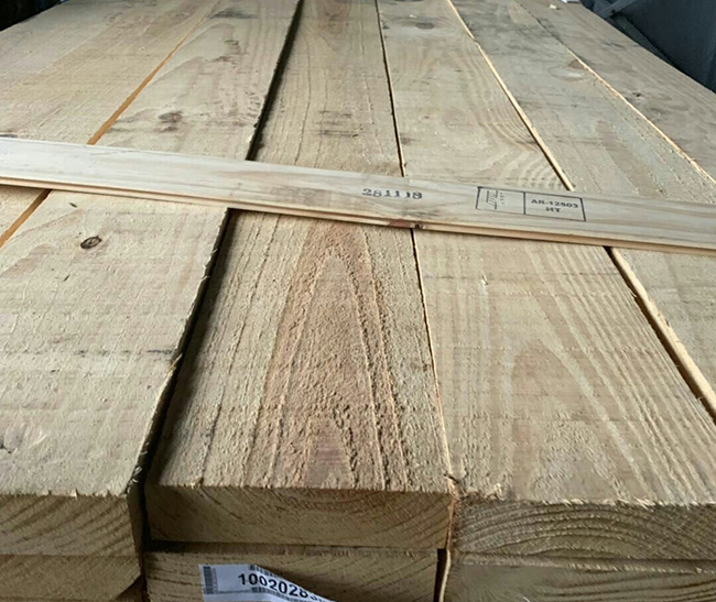 烈山阿根廷松木